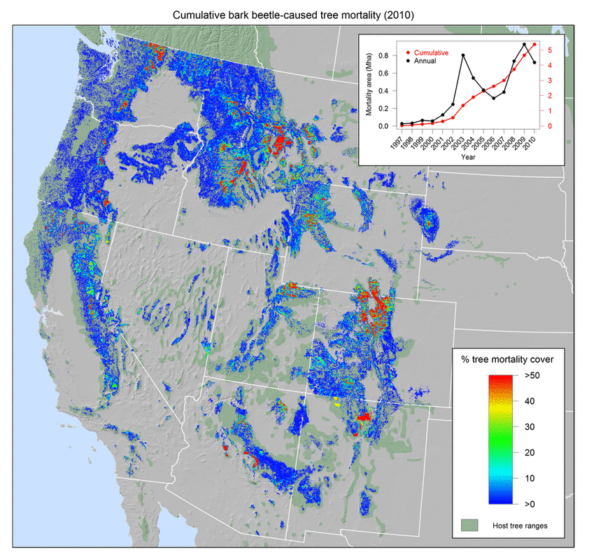 Map of the western U.S. depicting cumulative bark-beetle caused tree mortality in 2010